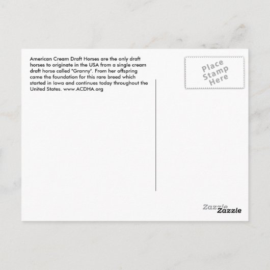 Torn Flag Creme Postcard Postkarte (Rückseite)