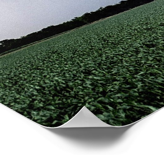 Tornado Warning Poster (Ecke)