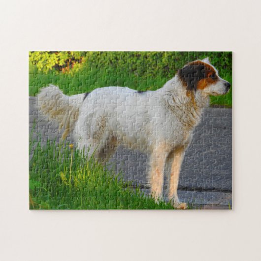 Tornjak Dog Jigsaws. Puzzle (Horizontal)