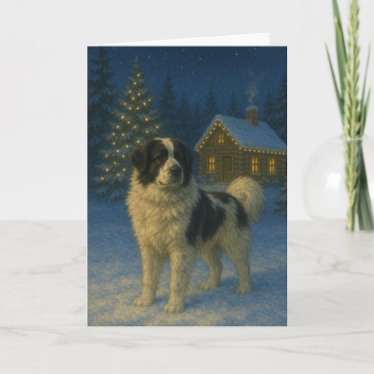 Tornjak-Hunde-Weihnachtskarte Feiertagskarte (Vorderseite)