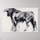 Toro Azul-Studie Poster (Vorne)