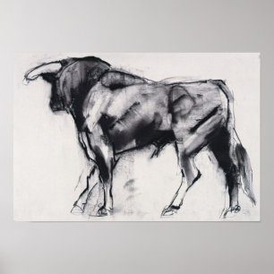 Toro Azul-Studie Poster