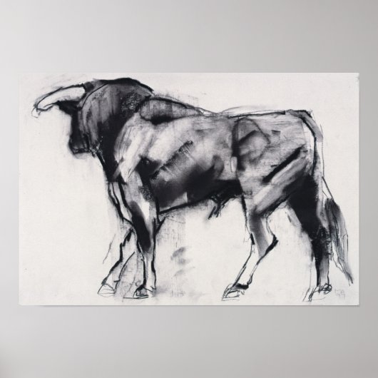 Toro Azul-Studie Poster (Vorne)