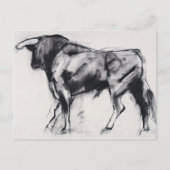 Toro Azul-Studie Postkarte (Vorderseite)