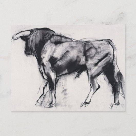 Toro Azul-Studie Postkarte (Vorderseite)