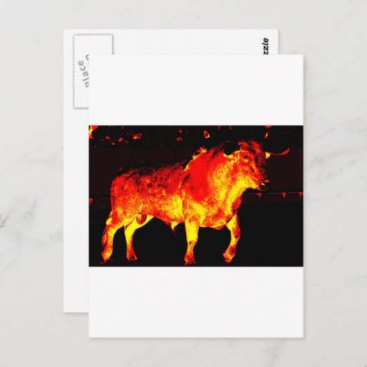 TORO BRAVO POSTKARTE (Vorne/Hinten)