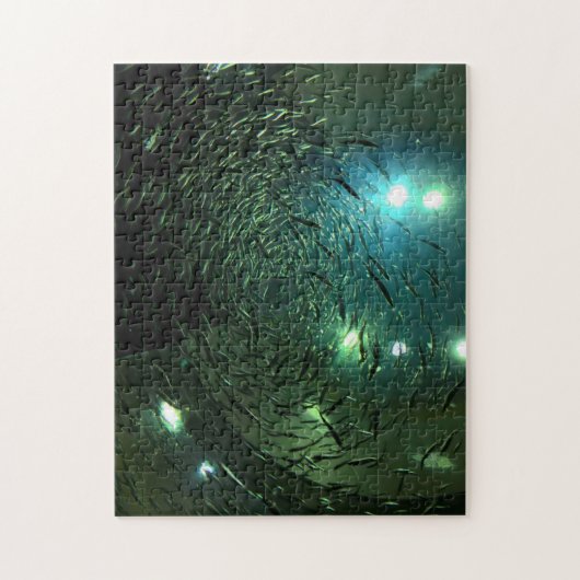 Toronto Aquarium Kanada. Puzzle (Vertikal)