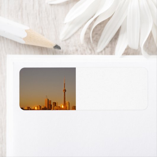 Toronto Cityscape (Insitu)