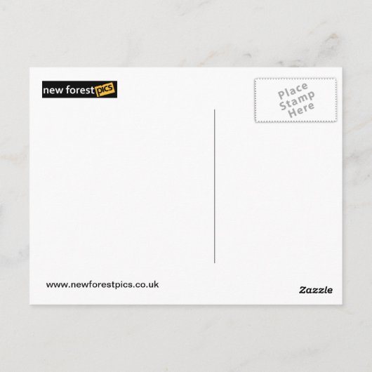 Toronto Postkarte (Rückseite)