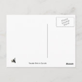 Toronto Postkarte (Rückseite)