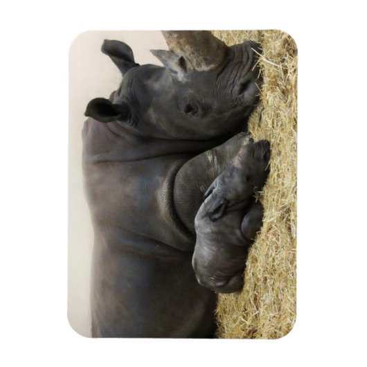 Toronto Zoo Baby-Rhino Magnet (Vertikal)
