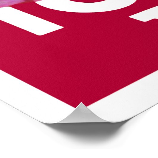 Torpedo Poster (Ecke)