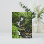 Torq Wasserfall - Killarney Irland Postkarte (Stehend Vorderseite)