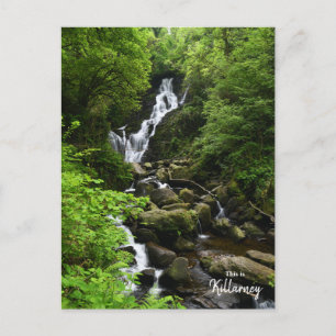Torq Wasserfall - Killarney Irland Postkarte