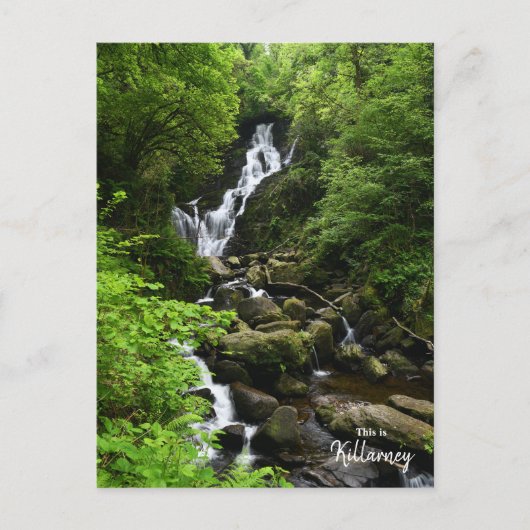 Torq Wasserfall - Killarney Irland Postkarte (Vorderseite)