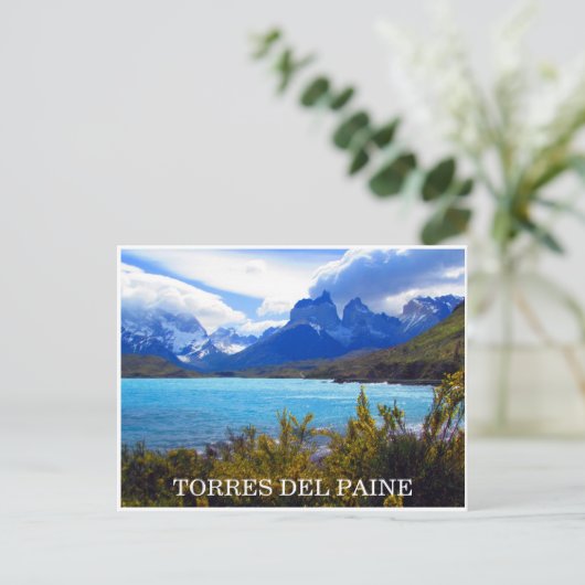Torres del Paine Chile Postkarte (Stehend Vorderseite)