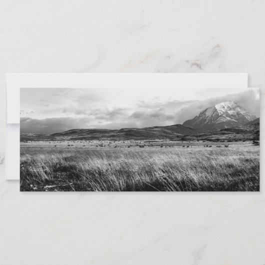 Torres del Paine Feiertagskarte (Vorderseite)