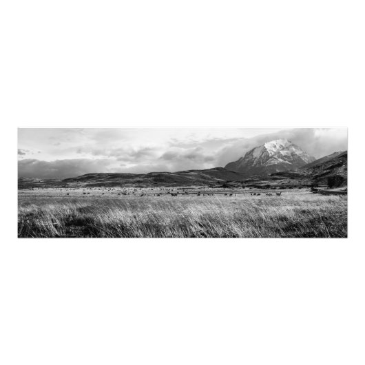 Torres del Paine Fotodruck (Vorne)