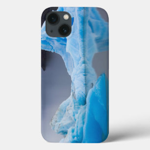 Torres del Paine National Park Case-Mate iPhone Hülle