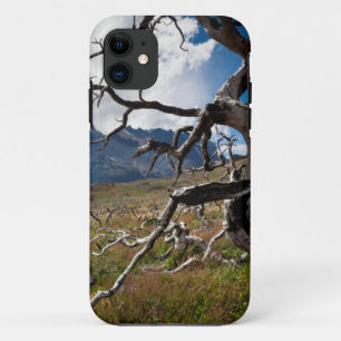 Torres del Paine Nationalpark, durch Feuer beschäd Case-Mate iPhone Hülle