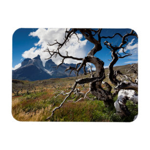 Torres del Paine Nationalpark, durch Feuer beschäd Magnet