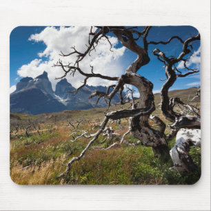 Torres del Paine Nationalpark, durch Feuer beschäd Mousepad