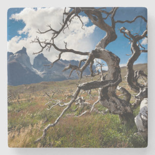 Torres del Paine Nationalpark, durch Feuer beschäd Steinuntersetzer