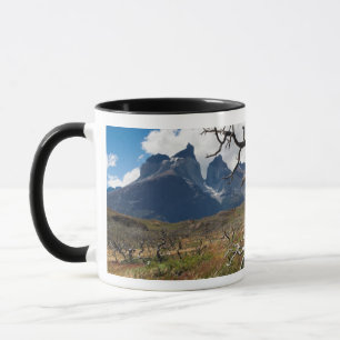 Torres del Paine Nationalpark, durch Feuer beschäd Tasse