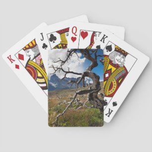 Torres del Paine Nationalpark, Feuer beschädigte B Spielkarten