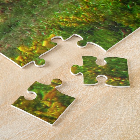 Torres del Pal Patagonia Puzzle (Seite)