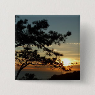 Torrey-Kiefer-Sonnenuntergang I kalifornische Land Button