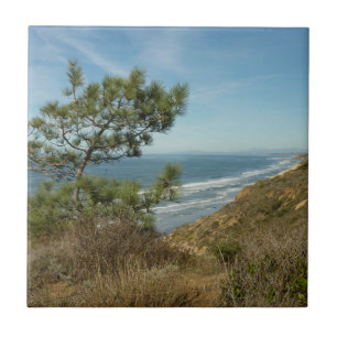 Torrey-Kiefer und kalifornische Küstenlandschaft Fliese