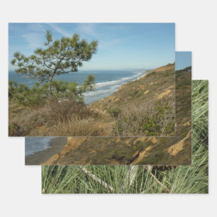 Torrey-Kiefer und kalifornische Küstenlandschaft Geschenkpapier Set