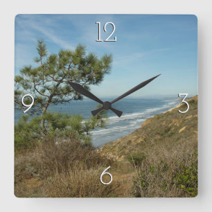 Torrey-Kiefer und kalifornische Küstenlandschaft Quadratische Wanduhr