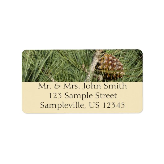 Torrey Pine Closeup California Botanical Adressaufkleber (Vorne)