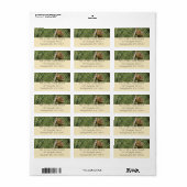 Torrey Pine Closeup California Botanical Adressaufkleber (Vorne)