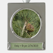 Torrey Pine Closeup California Botanical Banner-Ornament Silber (Vorderseite)