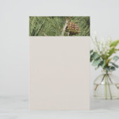 Torrey Pine Closeup California Botanical Briefpapier (Stehend Vorderseite)