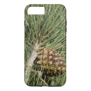 Torrey Pine Closeup California Botanical Case-Mate iPhone Hülle