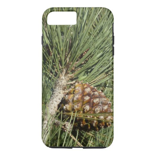 Torrey Pine Closeup California Botanical Case-Mate iPhone Hülle (Rückseite)