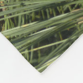 Torrey Pine Closeup California Botanical Fleecedecke (Ecke)