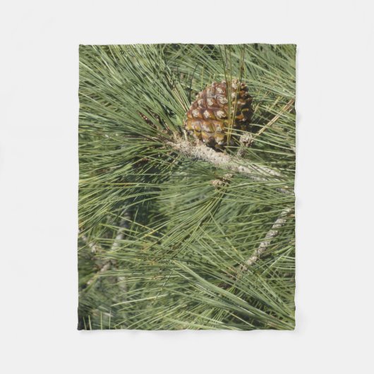 Torrey Pine Closeup California Botanical Fleecedecke (Vorderseite)