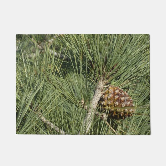 Torrey Pine Closeup California Botanical Fußmatte (Vorderseite)