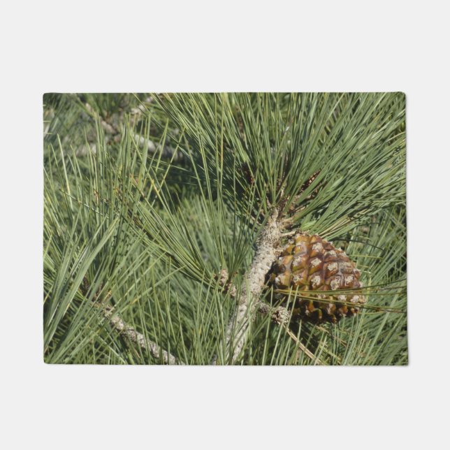 Torrey Pine Closeup California Botanical Fußmatte (Vorderseite)
