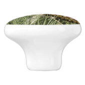 Torrey Pine Closeup California Botanical Keramikknauf (Seitenansicht)