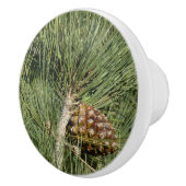 Torrey Pine Closeup California Botanical Keramikknauf (Rechts)