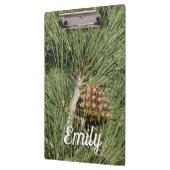 Torrey Pine Closeup California Botanical Klemmbrett (Links)