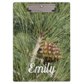Torrey Pine Closeup California Botanical Klemmbrett (Vorderseite)