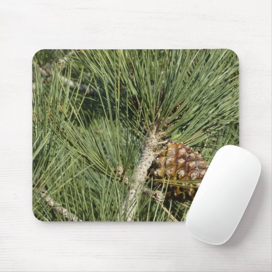 Torrey Pine Closeup California Botanical Mousepad (Mit Mouse)
