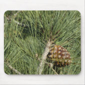 Torrey Pine Closeup California Botanical Mousepad (Vorne)
